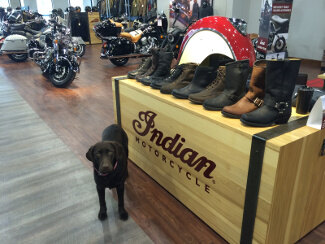 Service Indian Motorcycle